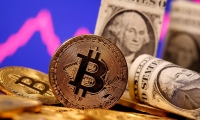 详解中央一号文件 中财办：推动土地流转费用稳定在合理水平